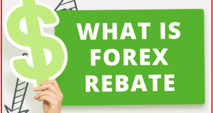 Apa itu Forex Rebate? Bonus yang Tetap Diterima Meski Loss Trading