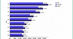 Everything You Need to Know About Insurance Estimates for New Drivers