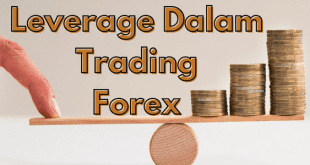 Apa itu Leverage pada Trading Forex?