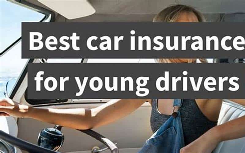 Who Is The Best Car Insurance Company For Young Drivers? Interogator