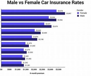 Insurance Estimates For New Drivers