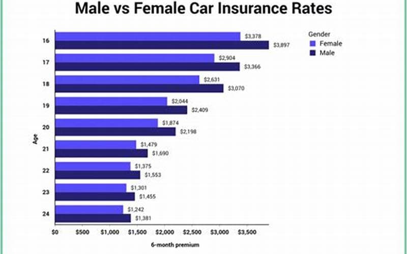 New Driver Insurance Estimate